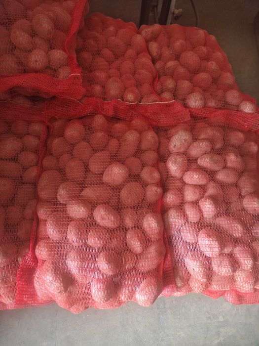 Cartofi de consum  - producator