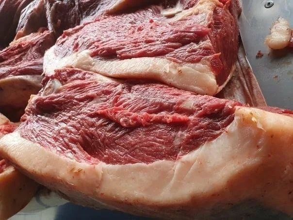 Продается мясо конины