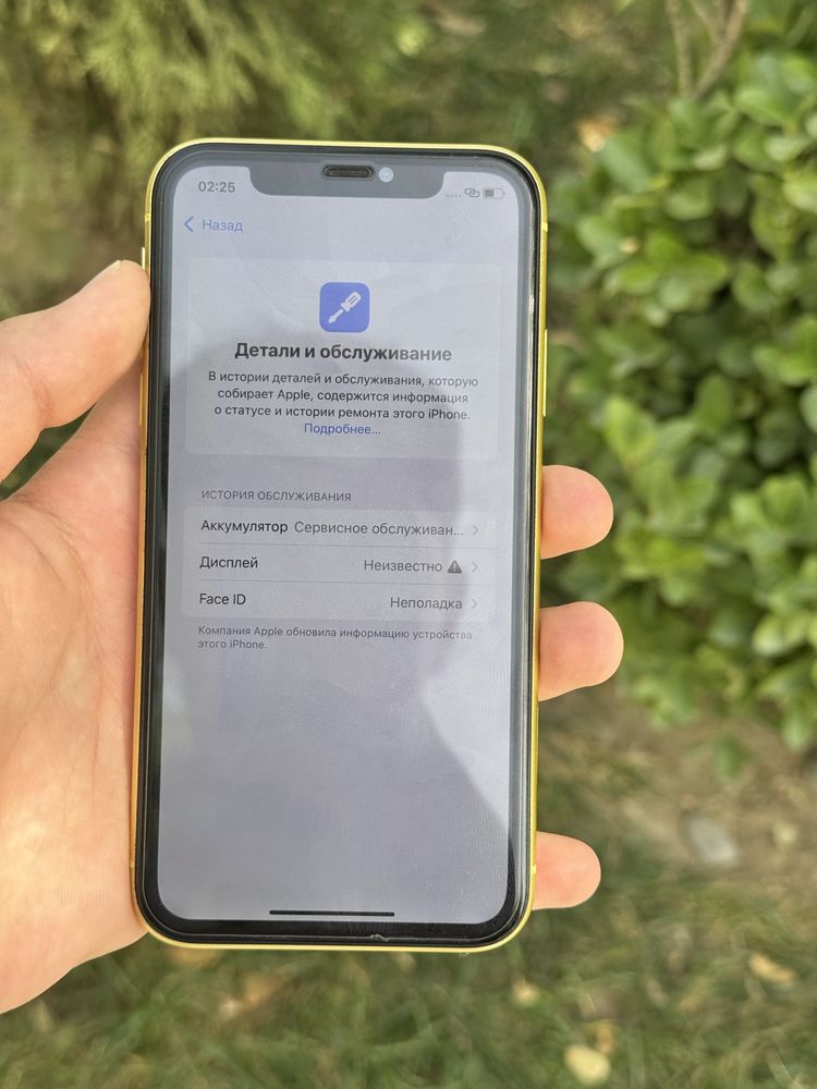 iPhone 11 yellow ideal