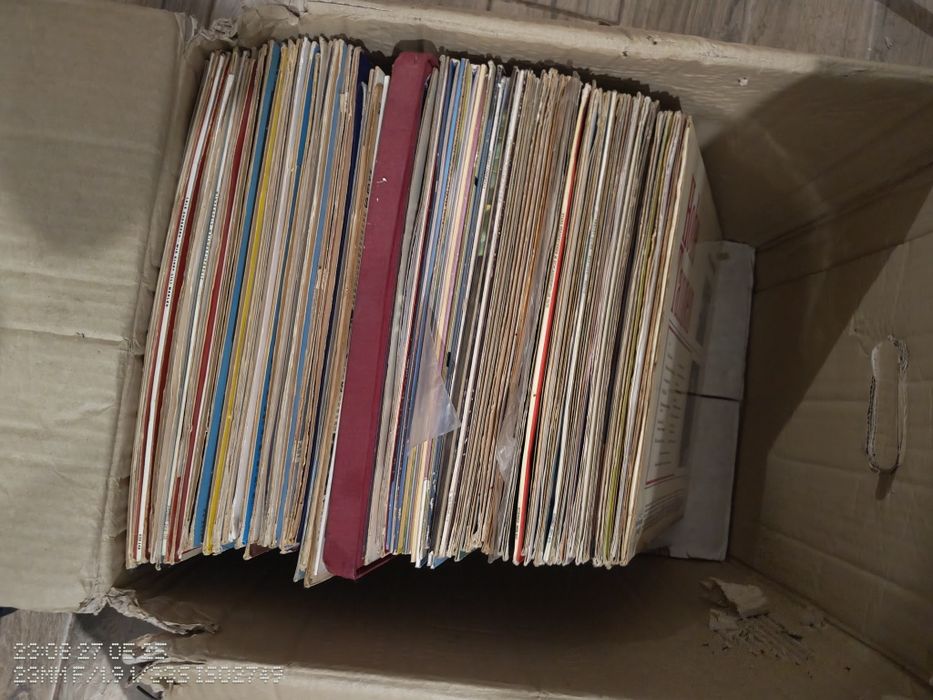 Colectie/lot 460 Viniluri