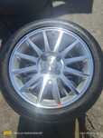 Optira R17 diska balon
