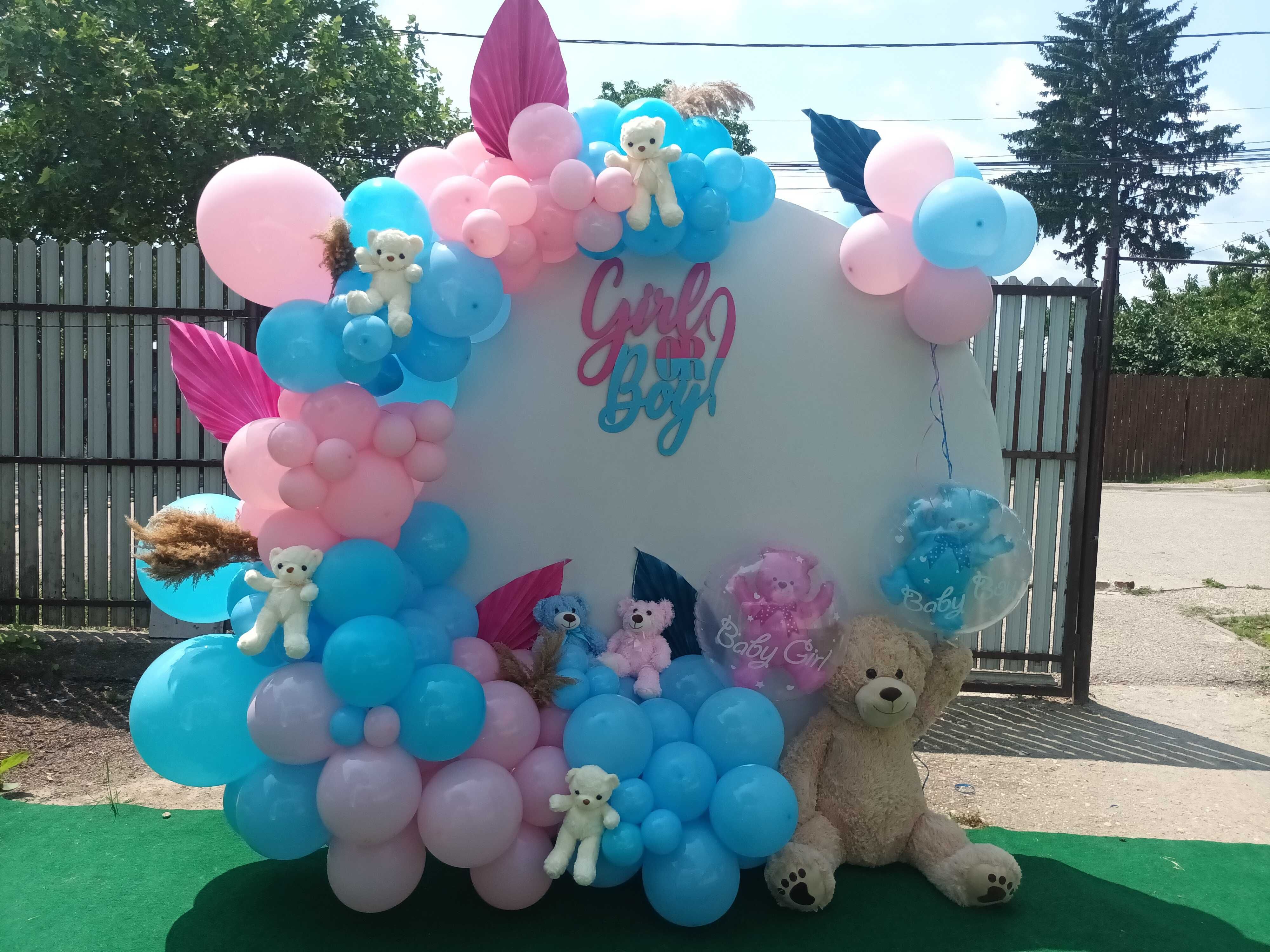 Gender reveal party Arcada baloane/Fumigene Baby shower petrecere