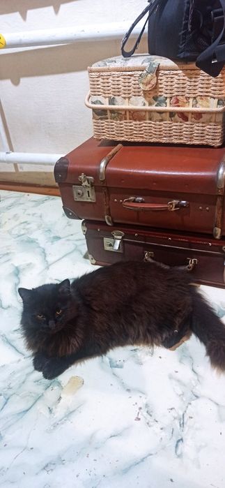 Текстиль для дома