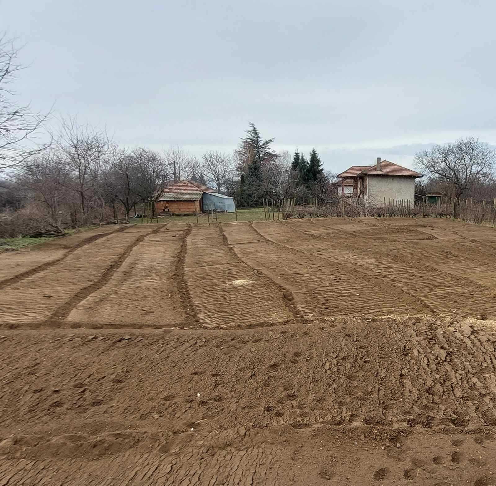 Парцел в регулация във с. Ветрен