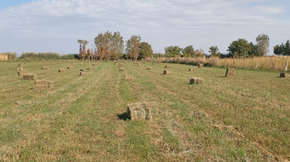Жоңыршқа пресс бар