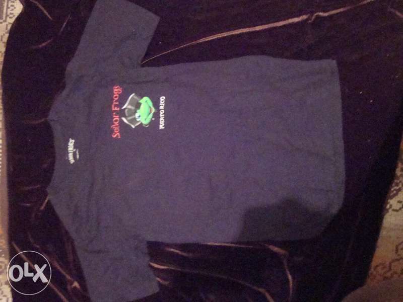 Три оригинлни t-shirt--на Бар -Senior Frogs: