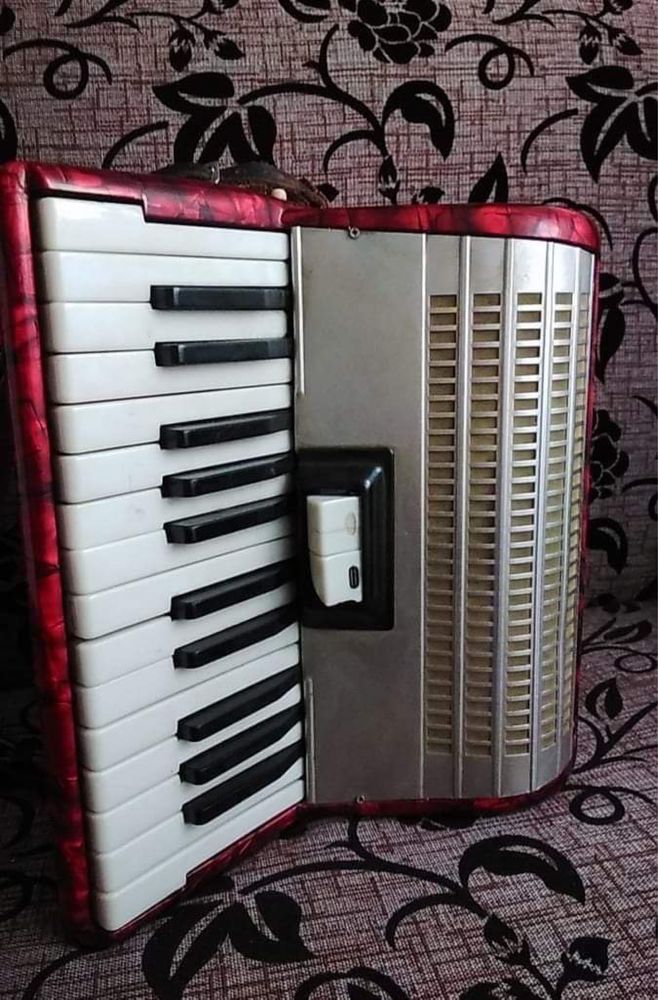 Acordeon Weltmeister-vintage.