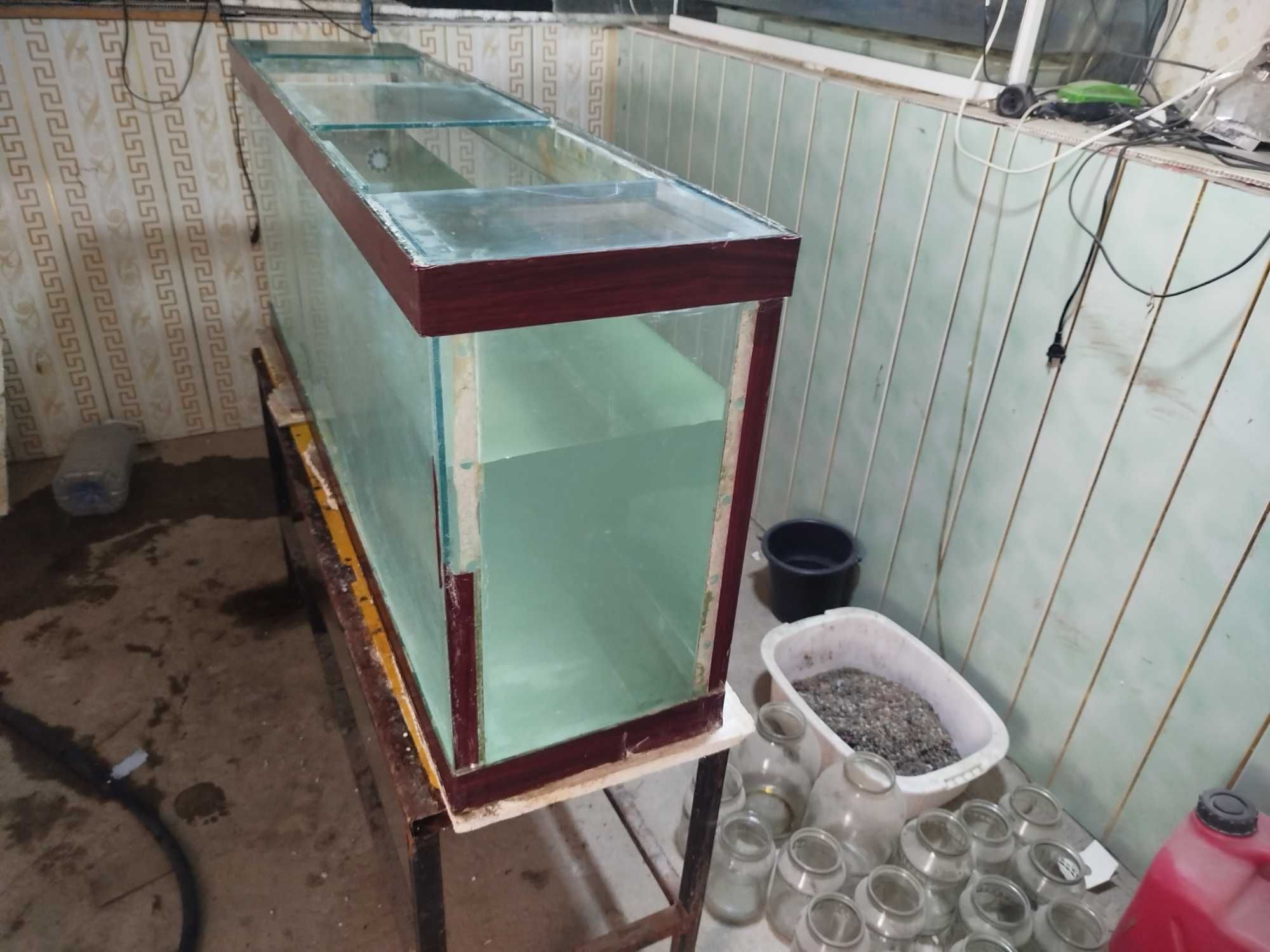 Akvarium sotiladi