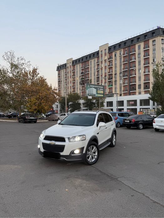 Captiva 2013 yil Idyal belijemshuk