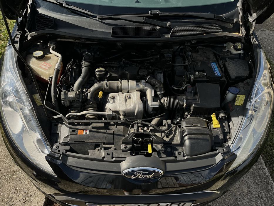 Vand Ford Fiesta 2010