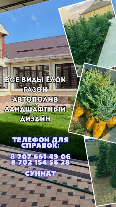 Автополив,газон,ландшафтный дизайн