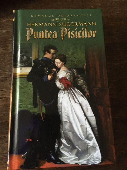 roman Puntea Pisicilor de Hermann Sudermann