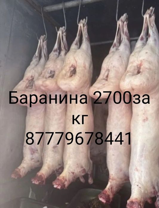 Продам мясо баранина