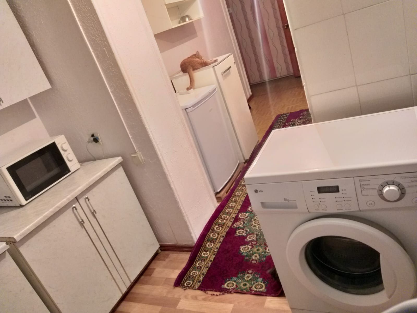 Возьму в квартиру девушку