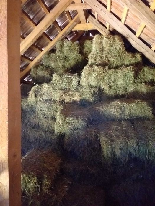 Baloti fin drepunghiular