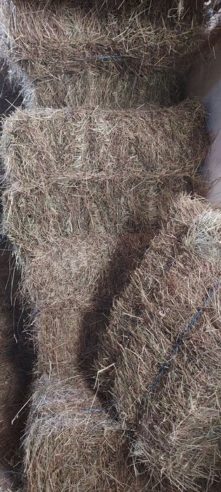 De vânzare baloți de lucernă, fân! Se asigura transport!