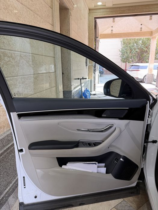 ЭГАСИДАН Официальный Byd Champion ev 605км