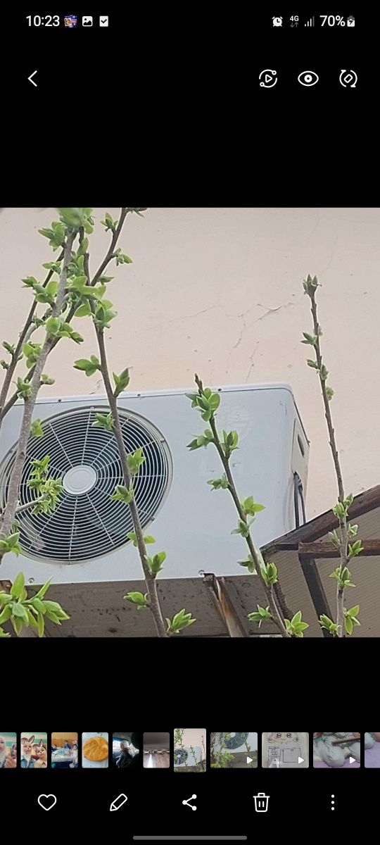 Konditsaner LG 18 talik