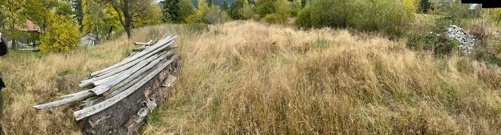 Teren de vanzare intravilan in Borsa, Maramures