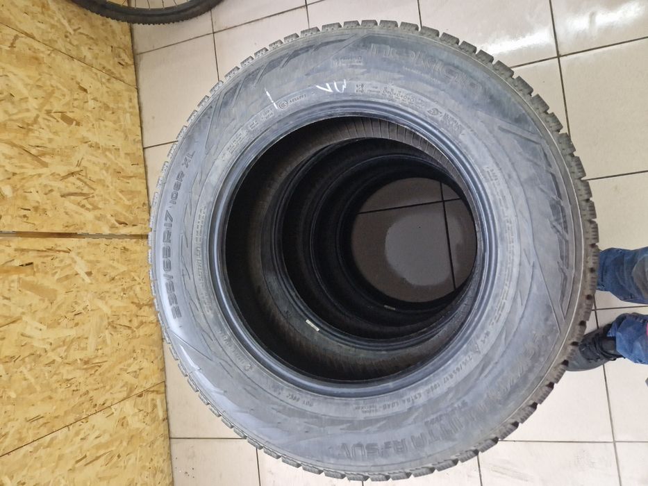 Nokian hakkapeliitte