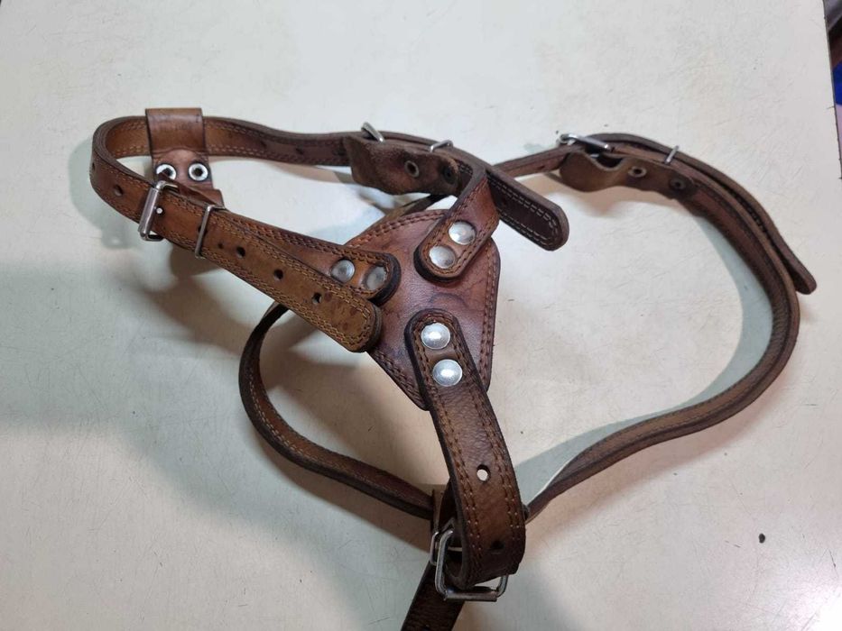Шлейка для крупной собаки