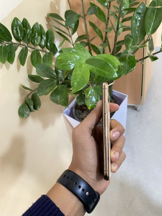 iPhone 11 Pro ideaal