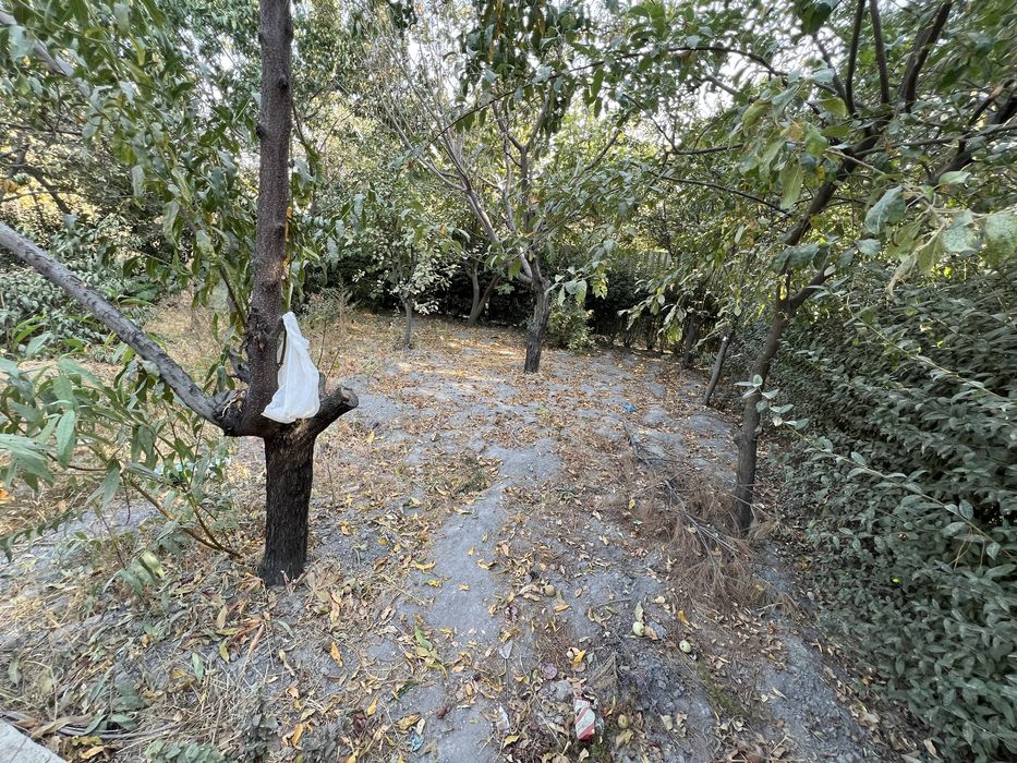 Yangi hayot zur lokatsiya 3 sotok 10/30