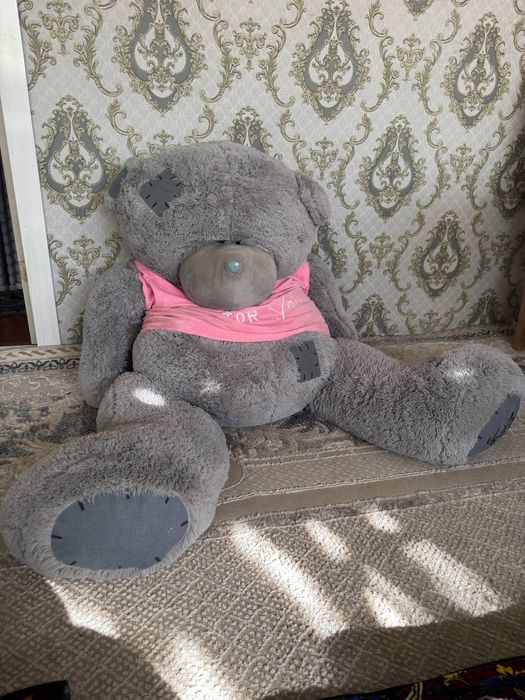 Yangi holatda ayiqcha