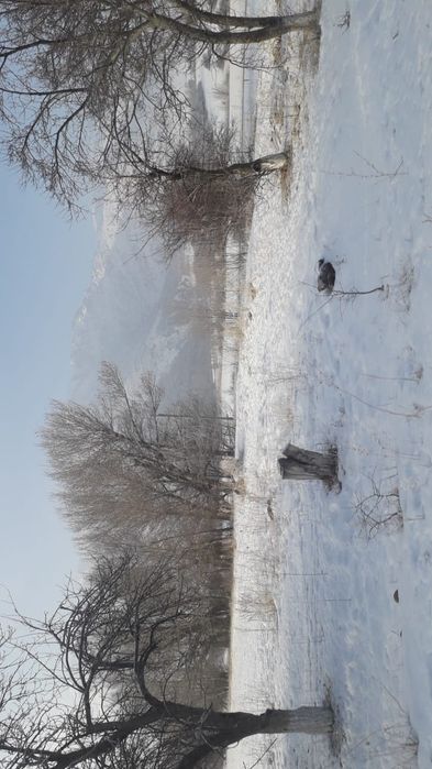 Земельный участок сельхозПлощадь: 15 000 соток назначения