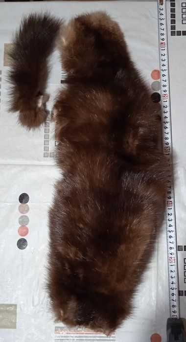 Шкурки соболя тёмно-коричневые