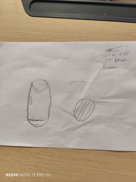 Vând desen artă semnat de Trăian Băsescu