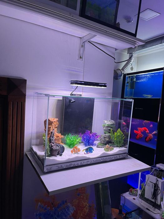 Xitoy akvarium 41 litr filt kislarod sensirniy svetlari bor kamplektda