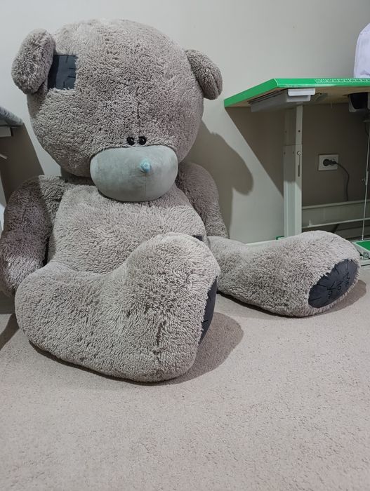 Teddy ayiq sotiladi kattasi