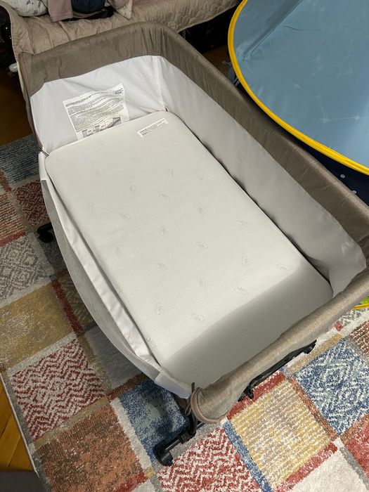 Кошара Chipolino Zen next to me