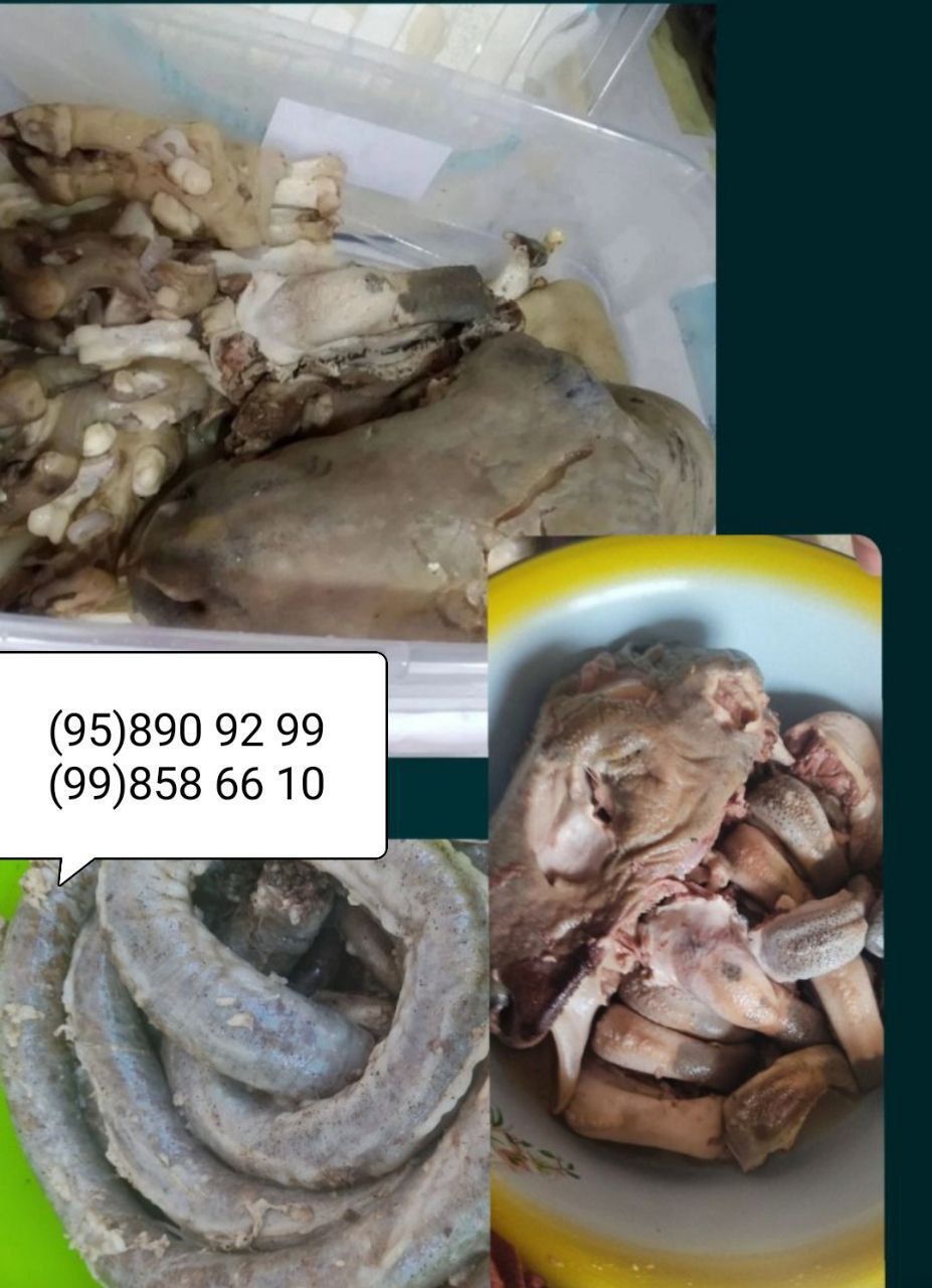 Kalla pocha xasip tayorlash xaloll