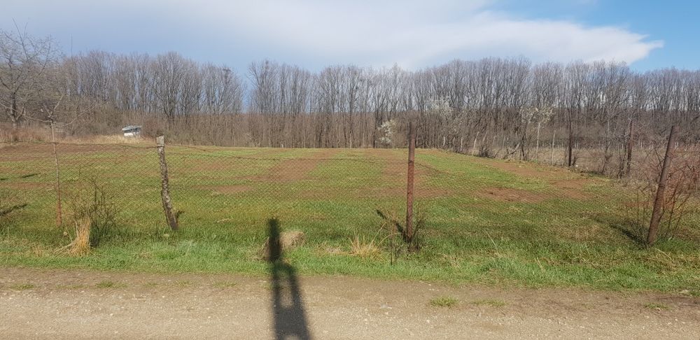 Teren de vanzare, Mosoaia, intravilan