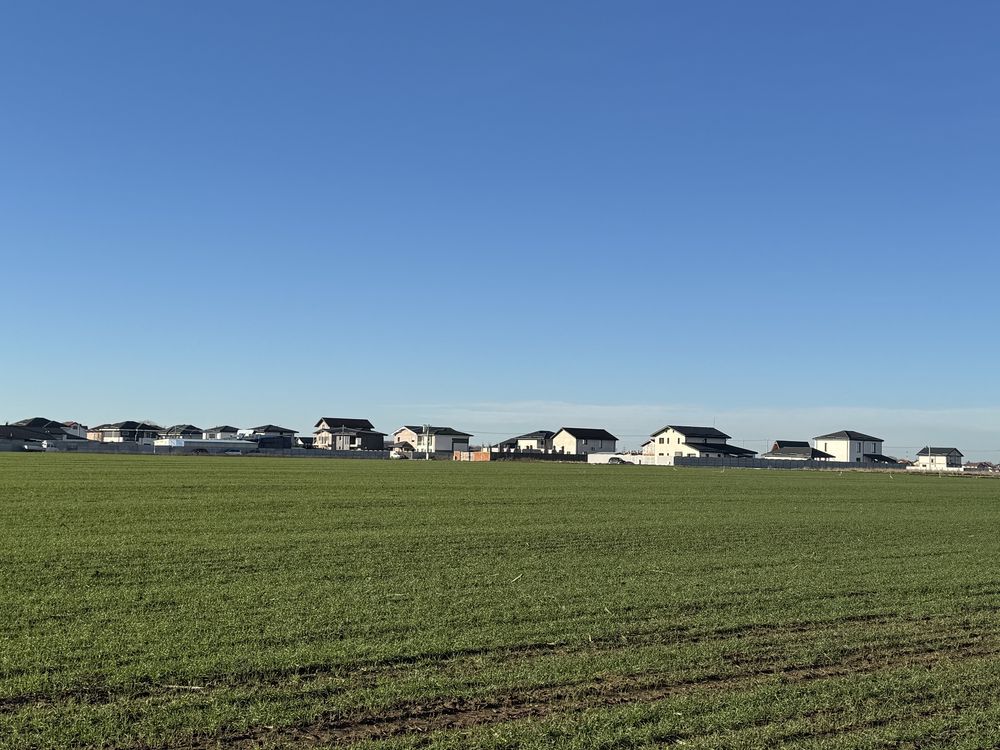 Teren 500 mp in Dragomiresti Vale, str. Lalelelor, deschidere 26 m