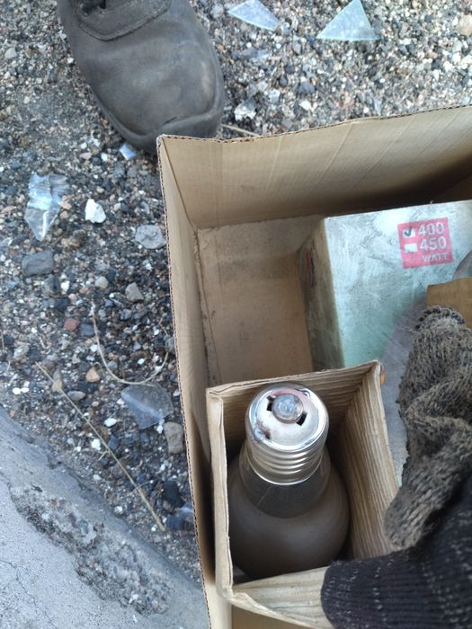 Лампочки для освещения