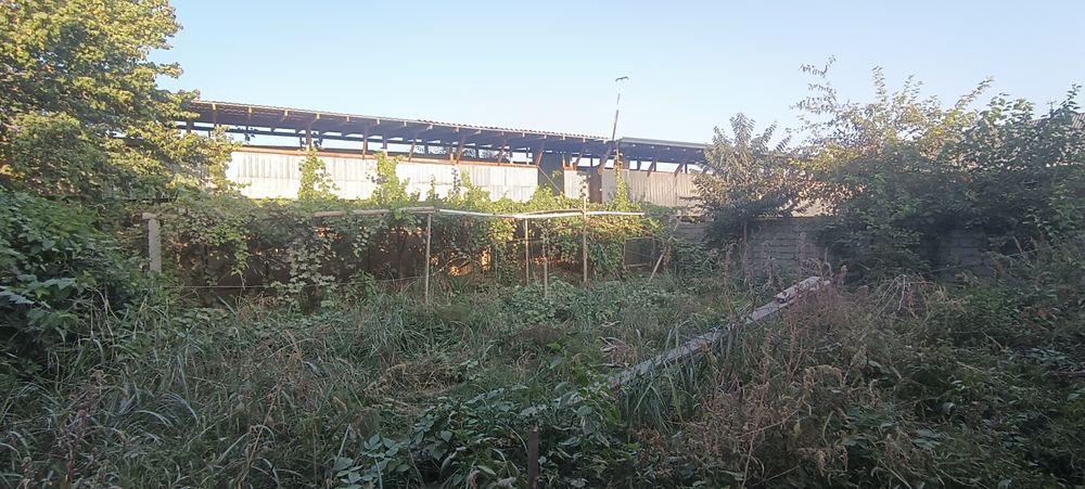 Янгийул халкобод уй сотилади