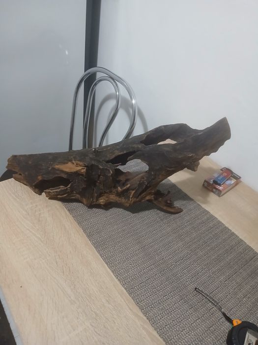 Acvariu pentru pești