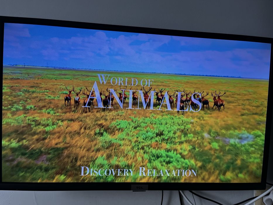 Телевизор TCL Android TV