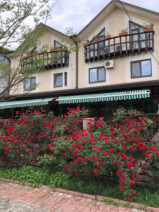 Vila pentru petrecerea Revelionului in Eforie Nord