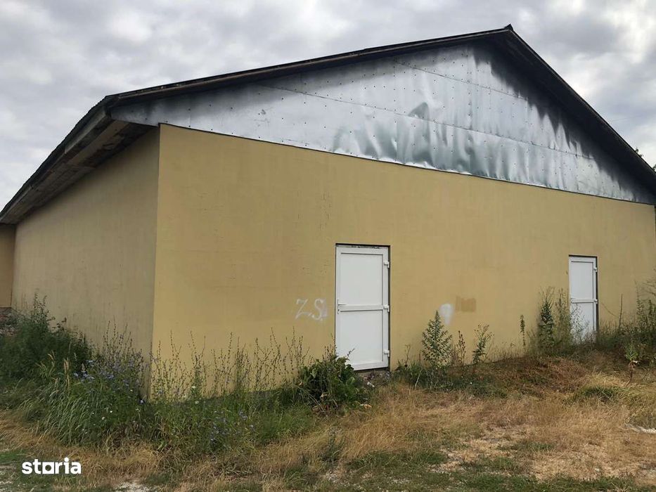 Inchiriez hala 671mp, constructie noua, sat Spinus