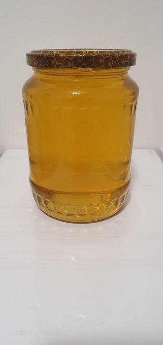 Miere de salcâm 2024 și Miere poliflora