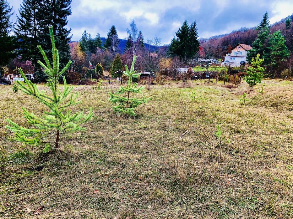 1280 кв.м Своге парцел в Косматица