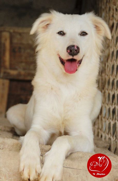 Подари Габи семью