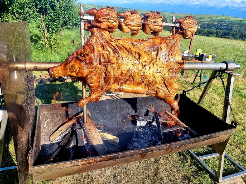 Protap rotisor evenimente