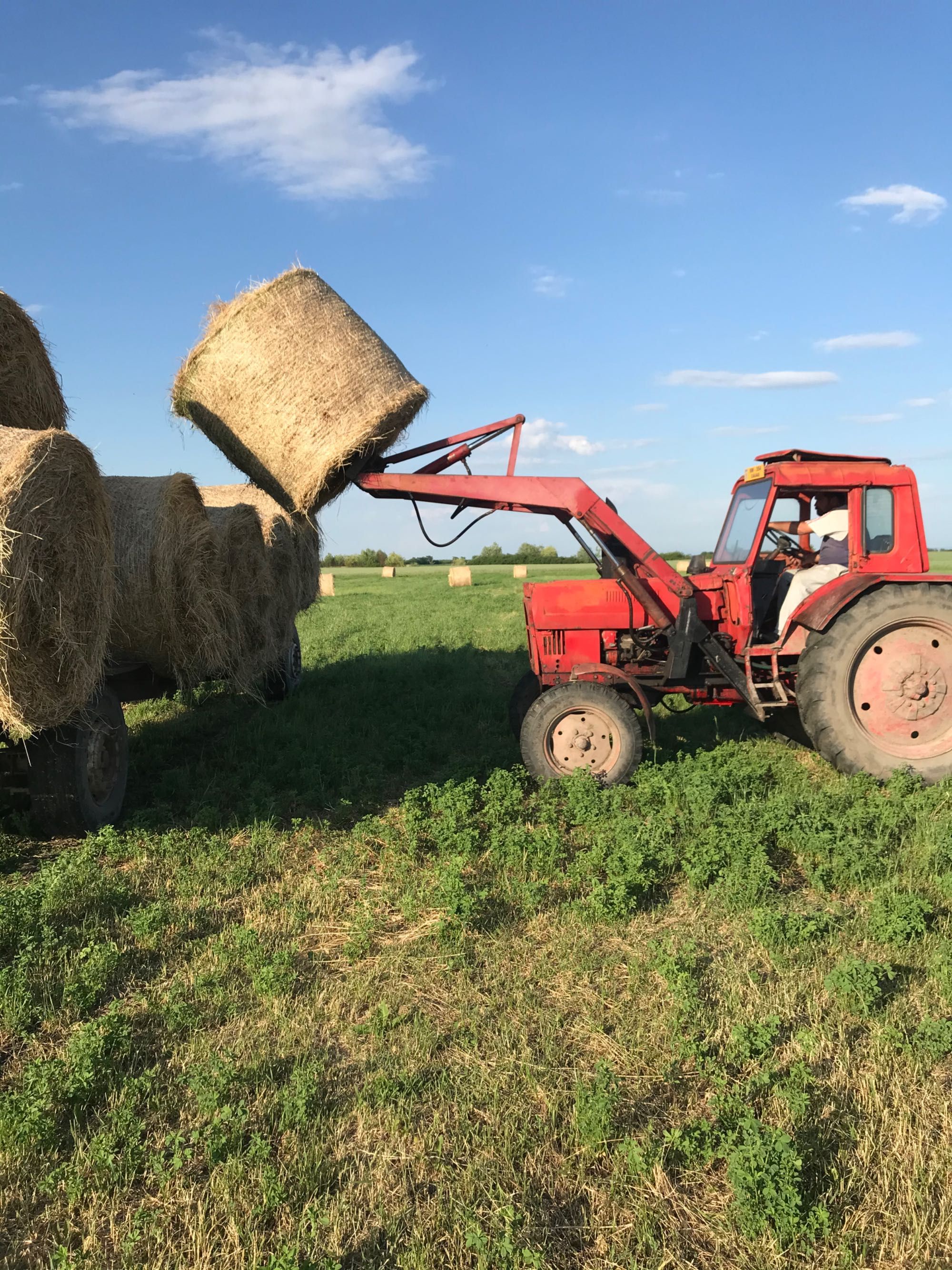 Belarus Mtz 80 cu încărcător frontal!