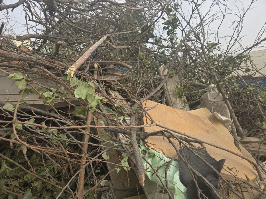 дрова и хонтахта бесплатно õtinlar tekin