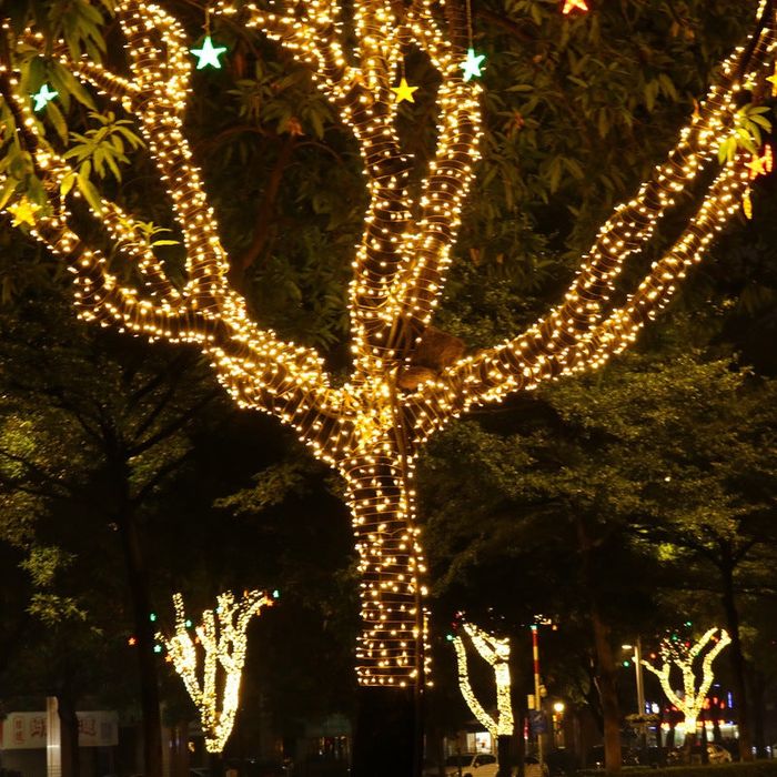 Instalatie de Craciun cu telecomanda, pentru exterior, 100m